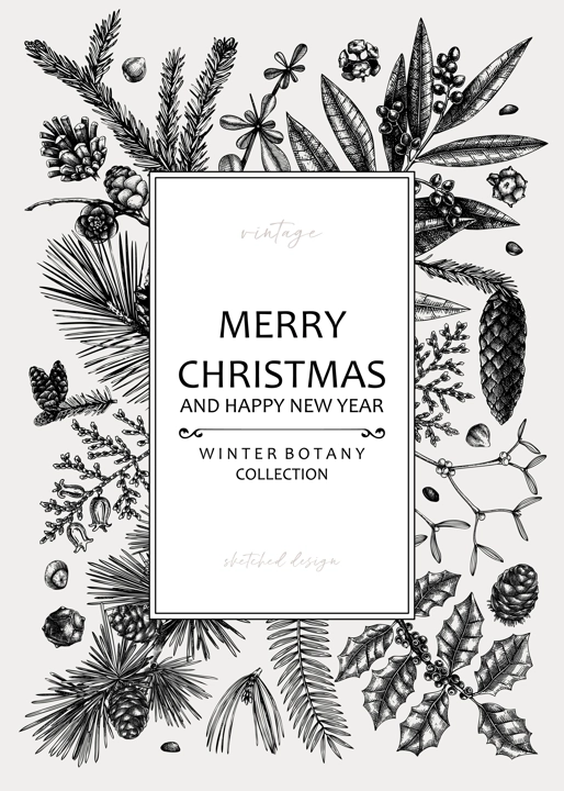 Merry Christmas card. Square frame with evergreen plants, conifers, and nuts drawing. Winter design with hand-drawn botanical illustrations. Christmas background, New Year invitation template